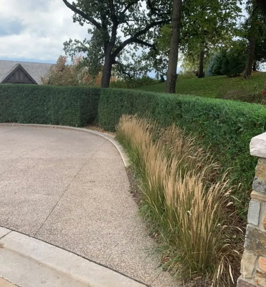 Trusted yard maintenance in Woodbury, MN - Outdoor Property Solutions