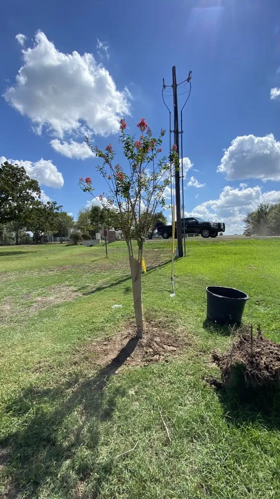 Expert yard cleanup service in College Station, TX by Outdoor Pros and More