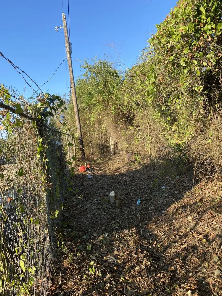 Top-rated landscape design experts serving College Station, TX - Outdoor Pros and More