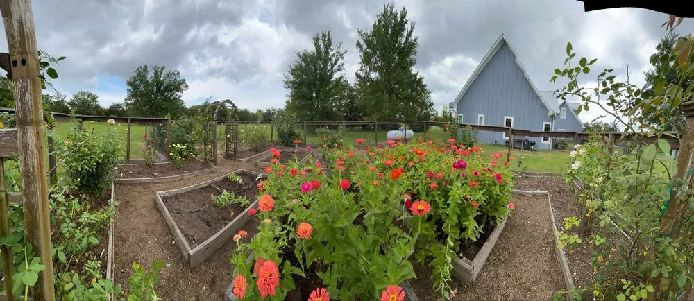 Reliable garden landscaping experts serving College Station, TX - Outdoor Pros and More