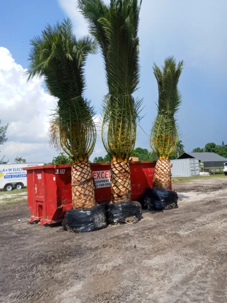 Custom landscaping services in Canal Point, FL - Outdoor Pros