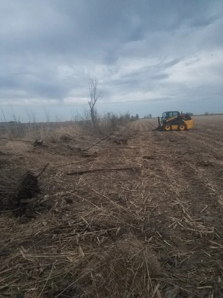 Expert landscape installation in Lone Tree, IA - Outdoor Pros