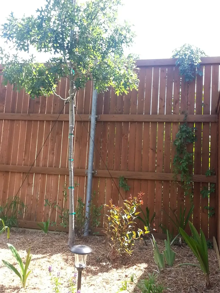 Local outdoor landscaping with custom design in Farmersville, TX by Outdoor Remodel & Designs