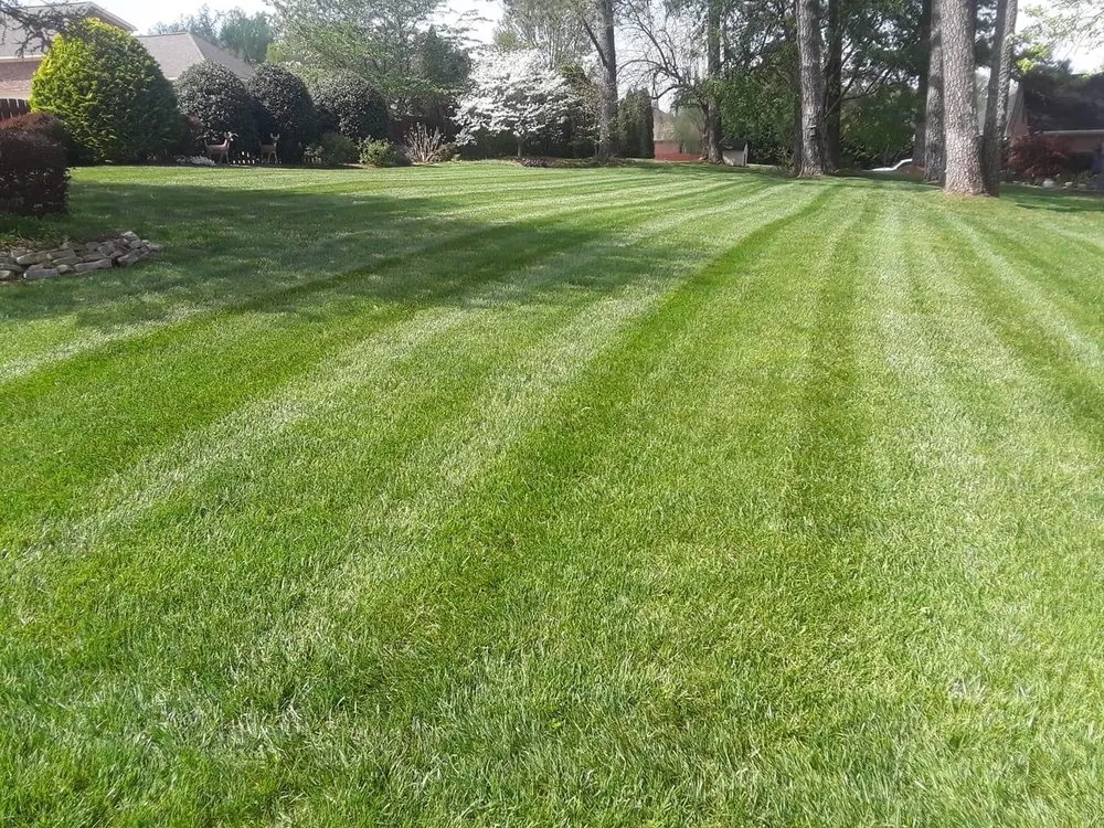 Top-rated yard cleanup service near you in Decatur, AL by Outdoor Resources Landscaping