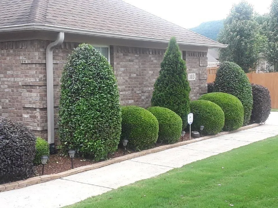 Trusted landscape installation for residential properties in Decatur, AL by Outdoor Resources Landscaping