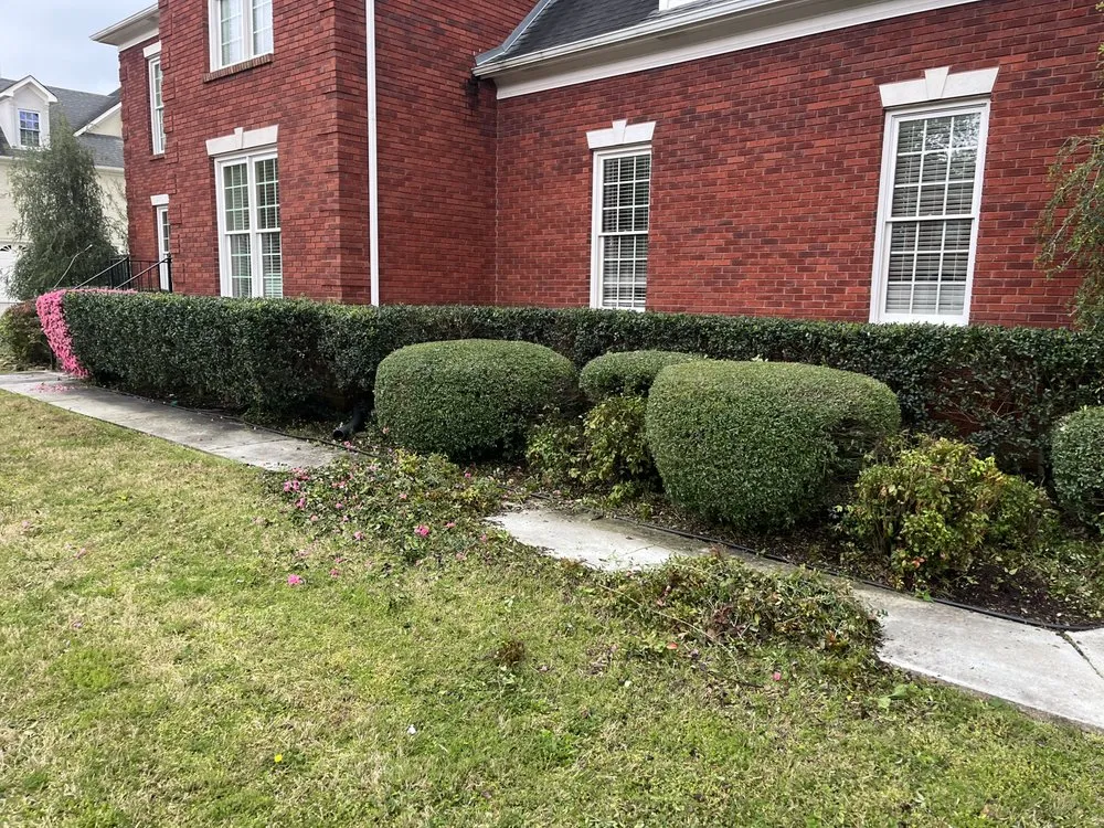 Professional outdoor landscaping for year-round maintenance across Decatur, AL - Outdoor Resources Landscaping