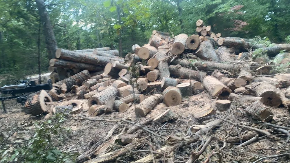 Professional yard maintenance for homes in Farmington, MO by Outdoor Restorations