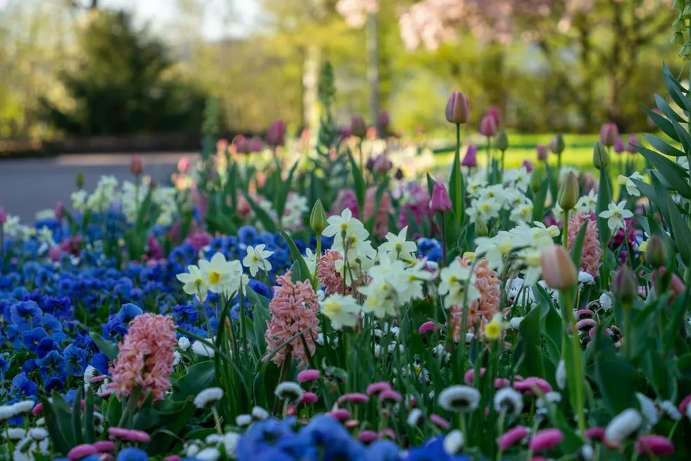 Professional lawn care service in Blue Springs, MO by Outdoor Sector