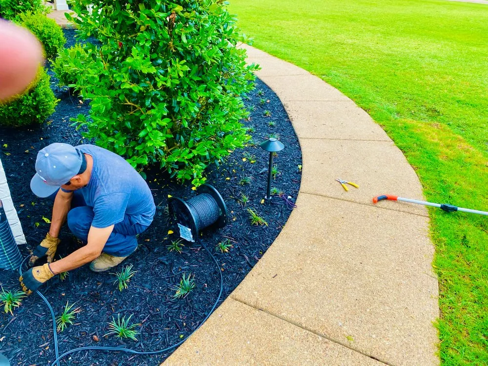 Top-rated yard cleanup service in Millington, TN by Outdoor Services Group