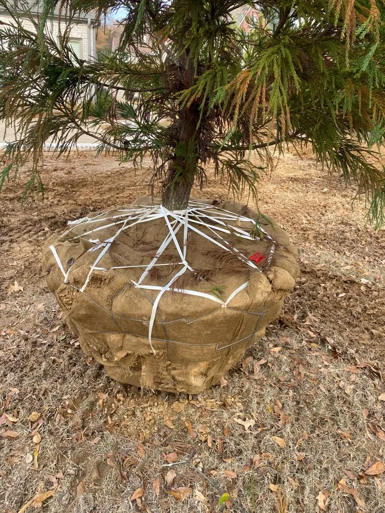 Local garden landscaping experts serving Millington, TN - Outdoor Services Group