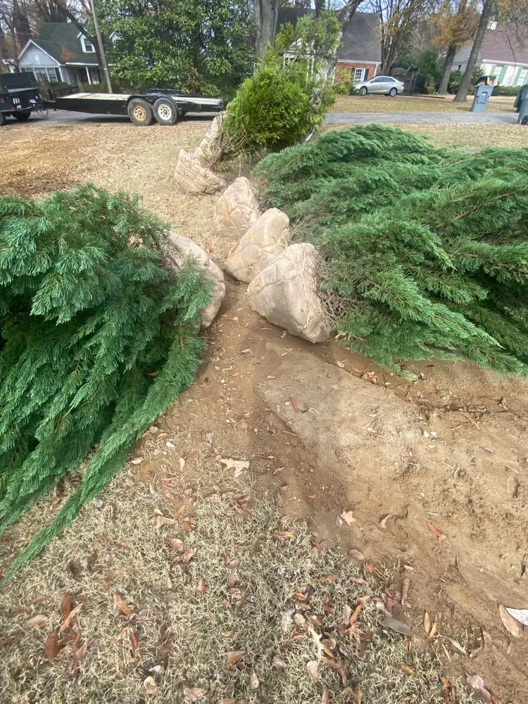 Reliable landscape design in Millington, TN by Outdoor Services Group