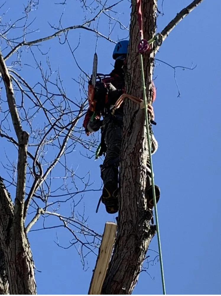 Trusted landscape design in Liberty, OH - Outdoor Services