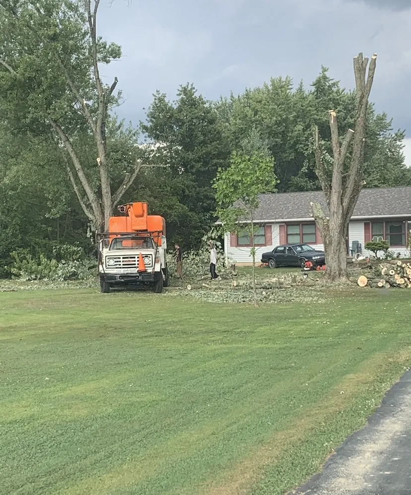 Affordable yard cleanup service for homes across Liberty, OH - Outdoor Services