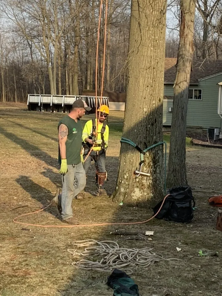 Professional landscape installation for outdoor upgrades across Liberty, OH - Outdoor Services