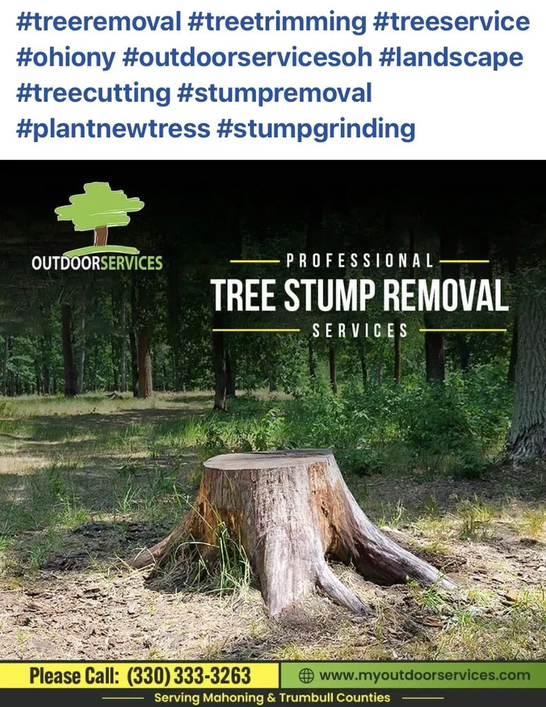 Trusted yard maintenance in Liberty, OH by Outdoor Services