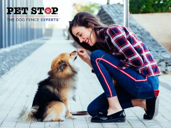 Trusted lawn care service for outdoor upgrades in Mechanicsville, VA by Outdoor Services