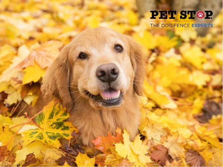 Trusted landscape installation near you in Mechanicsville, VA by Outdoor Services