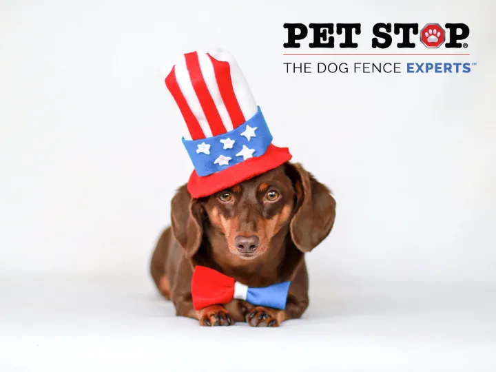 Affordable landscaping services experts serving Mechanicsville, VA - Outdoor Services