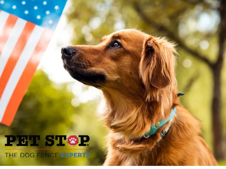 Affordable yard maintenance in Mechanicsville, VA - Outdoor Services