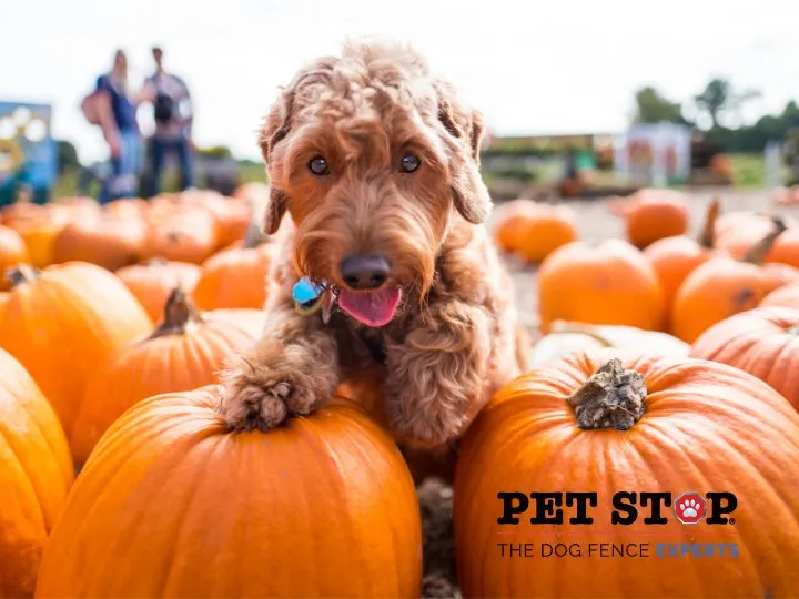 Top-rated landscape design in Mechanicsville, VA - Outdoor Services