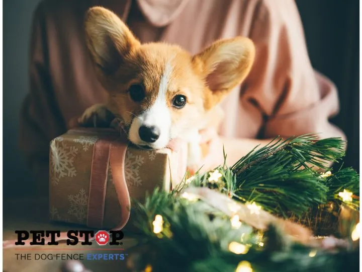 Professional residential landscaping in Mechanicsville, VA - Outdoor Services