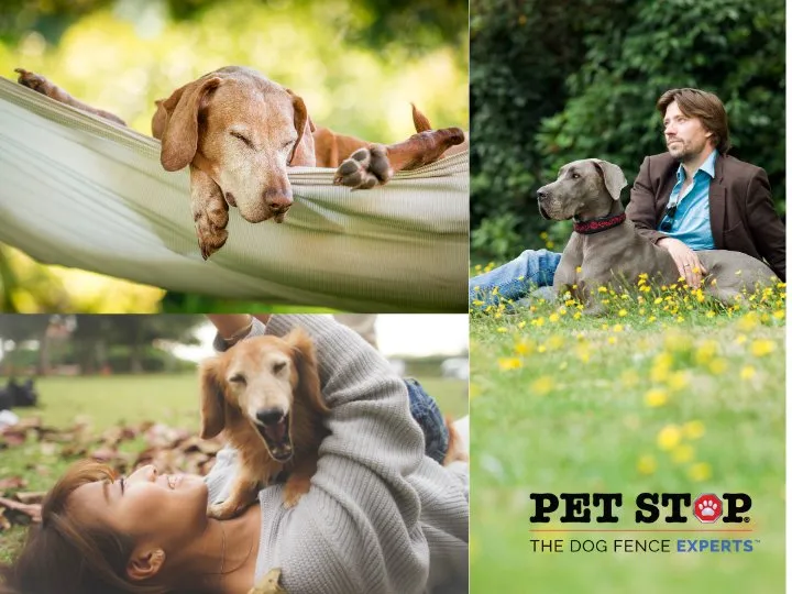 Top-rated yard maintenance for homes in Mechanicsville, VA by Outdoor Services