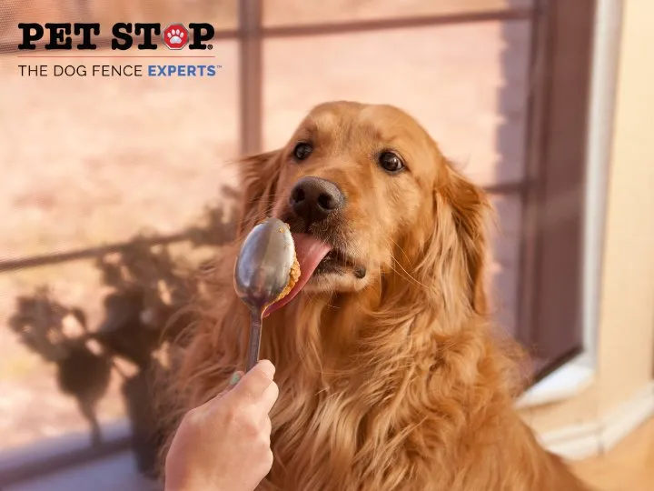 Top-rated lawn mowing service for residential properties across Mechanicsville, VA - Outdoor Services