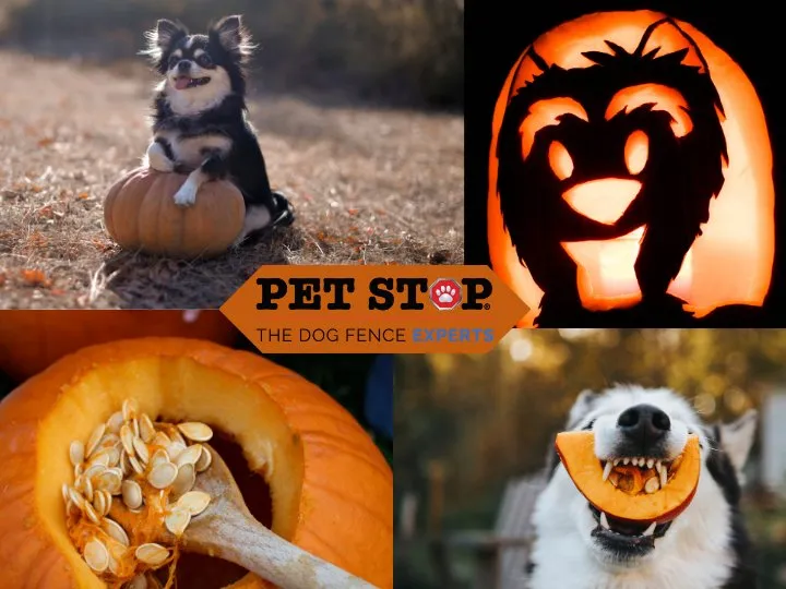 Trusted landscape design experts serving Mechanicsville, VA - Outdoor Services