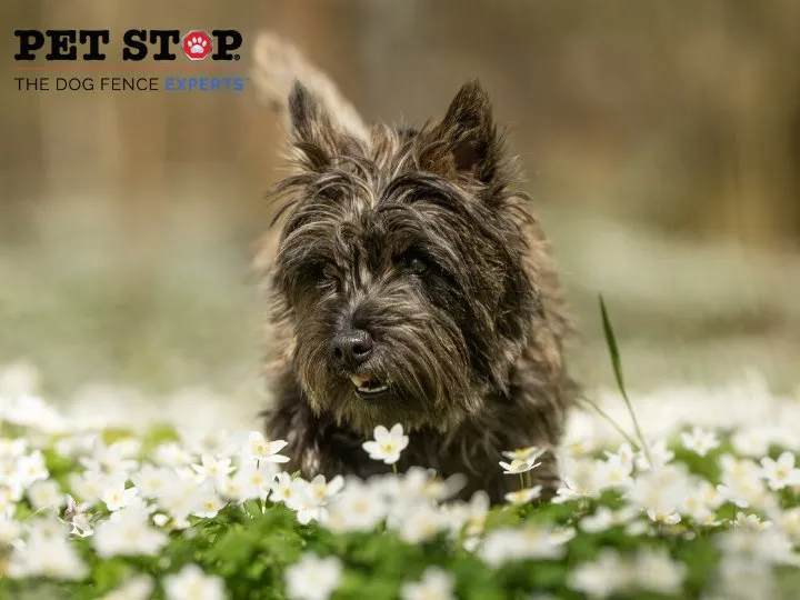 Top-rated landscape installation in Mechanicsville, VA - Outdoor Services