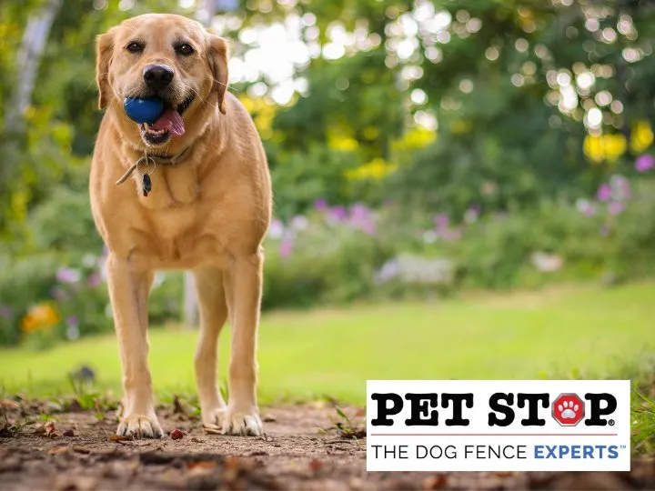 Expert residential landscaping in Mechanicsville, VA by Outdoor Services