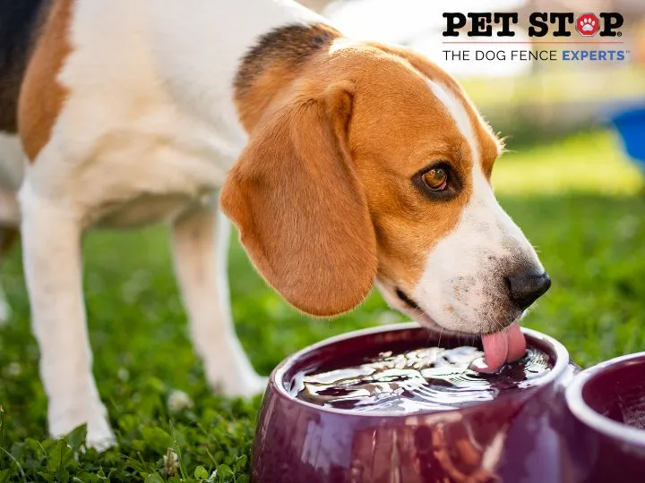 Professional yard cleanup service in Mechanicsville, VA - Outdoor Services