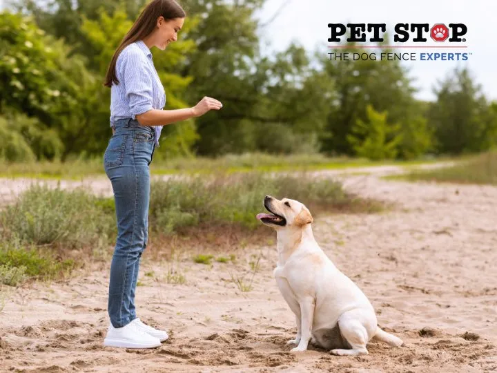 Expert yard cleanup service in Mechanicsville, VA - Outdoor Services