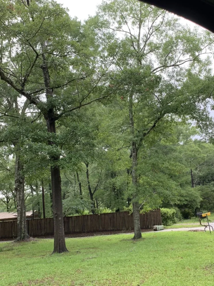 Custom garden landscaping in Mobile, AL by Outdoor Services