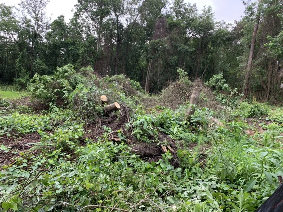 Custom landscaping services for outdoor upgrades across Mobile, AL - Outdoor Services