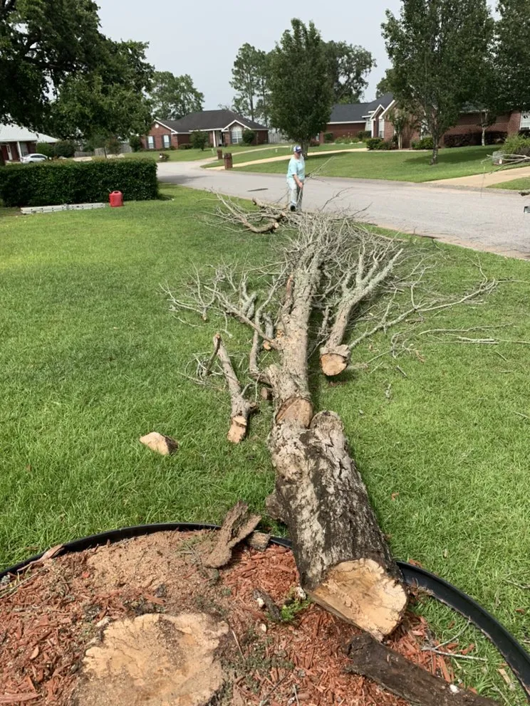 Top-rated lawn mowing service experts serving Mobile, AL - Outdoor Services