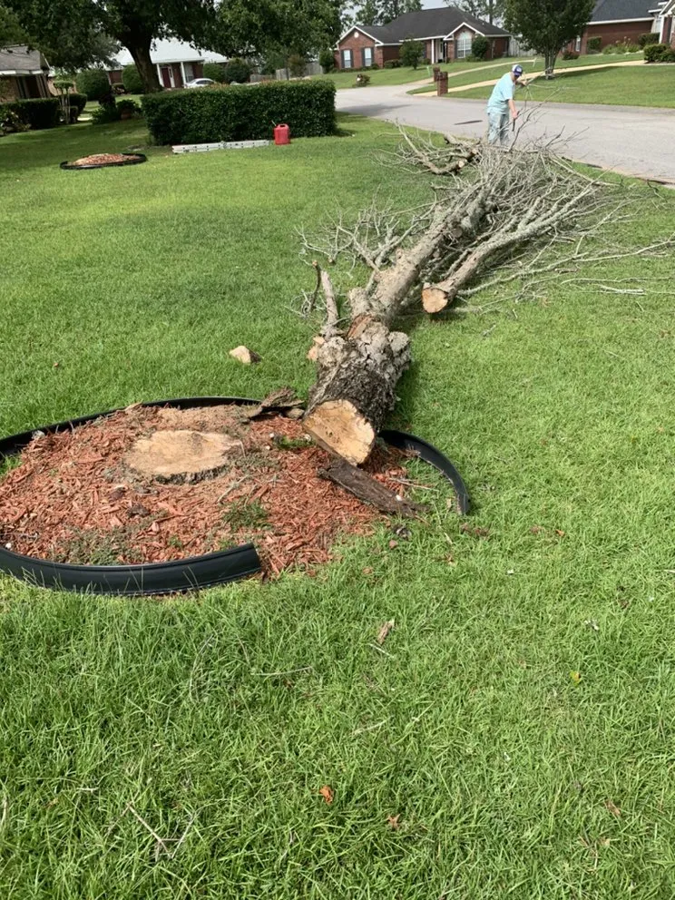 Expert yard maintenance for beautiful yards in Mobile, AL by Outdoor Services