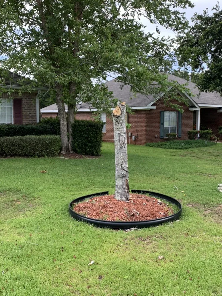 Top-rated lawn care service experts serving Mobile, AL - Outdoor Services