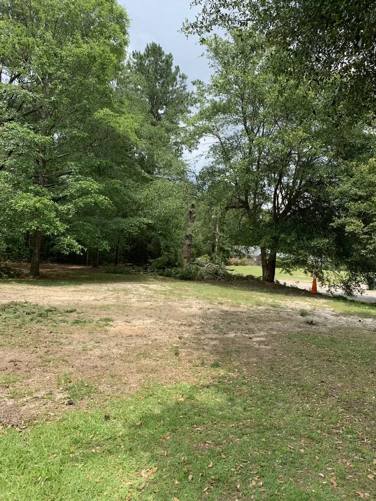 Custom landscape design for outdoor upgrades across Mobile, AL - Outdoor Services