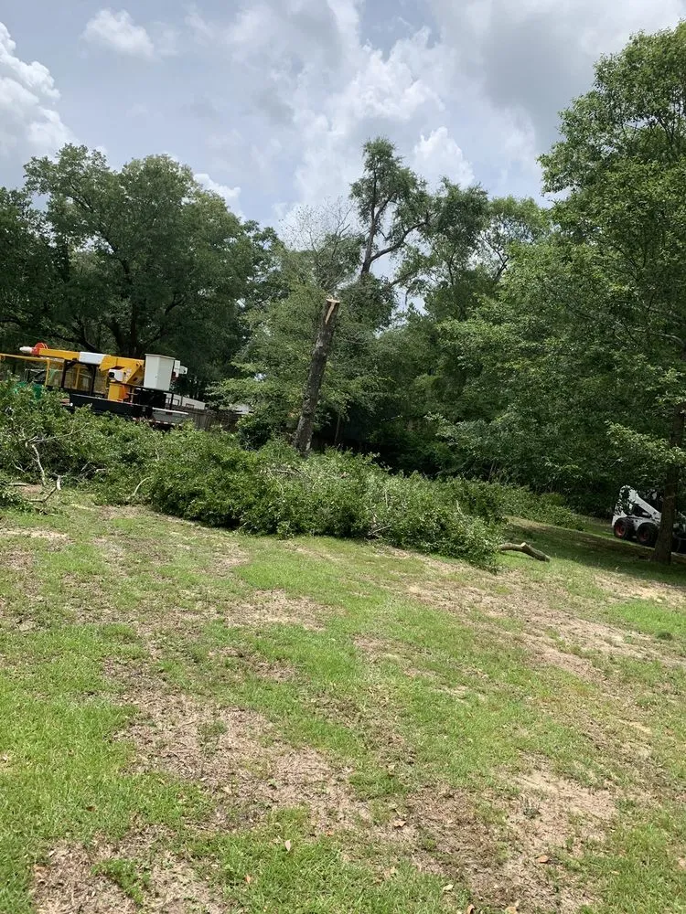 Expert lawn care service with custom design across Mobile, AL - Outdoor Services