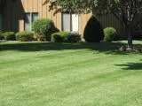 Trusted residential landscaping for year-round maintenance across Rochester, MN - Outdoor Services