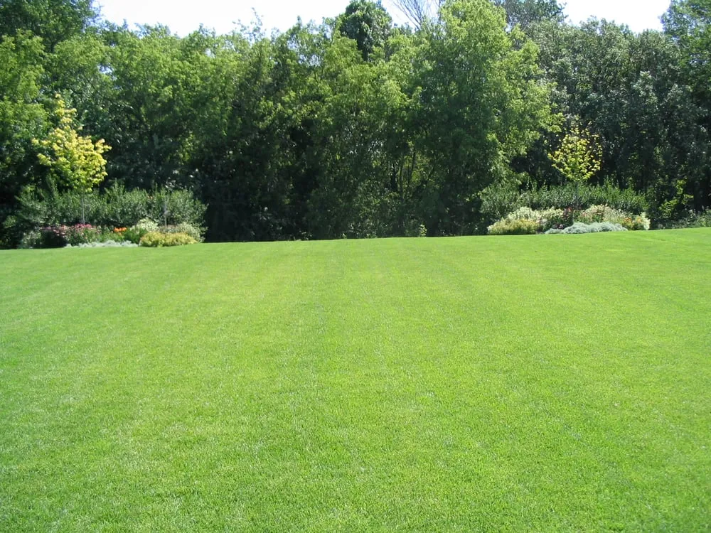 Local garden landscaping experts serving Rochester, MN - Outdoor Services