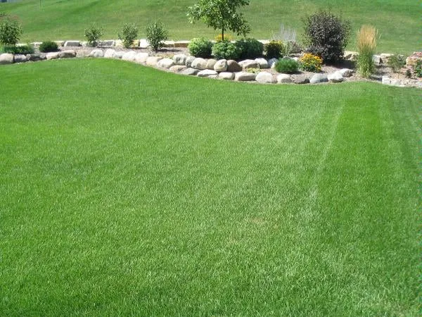 Expert residential landscaping in Rochester, MN - Outdoor Services