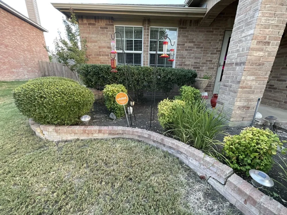 Local landscape installation for homes across Royse City, TX - Outdoor Services