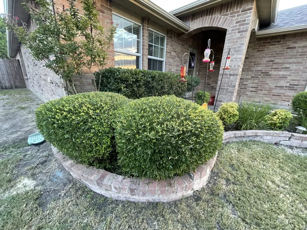 Trusted garden landscaping in Royse City, TX - Outdoor Services