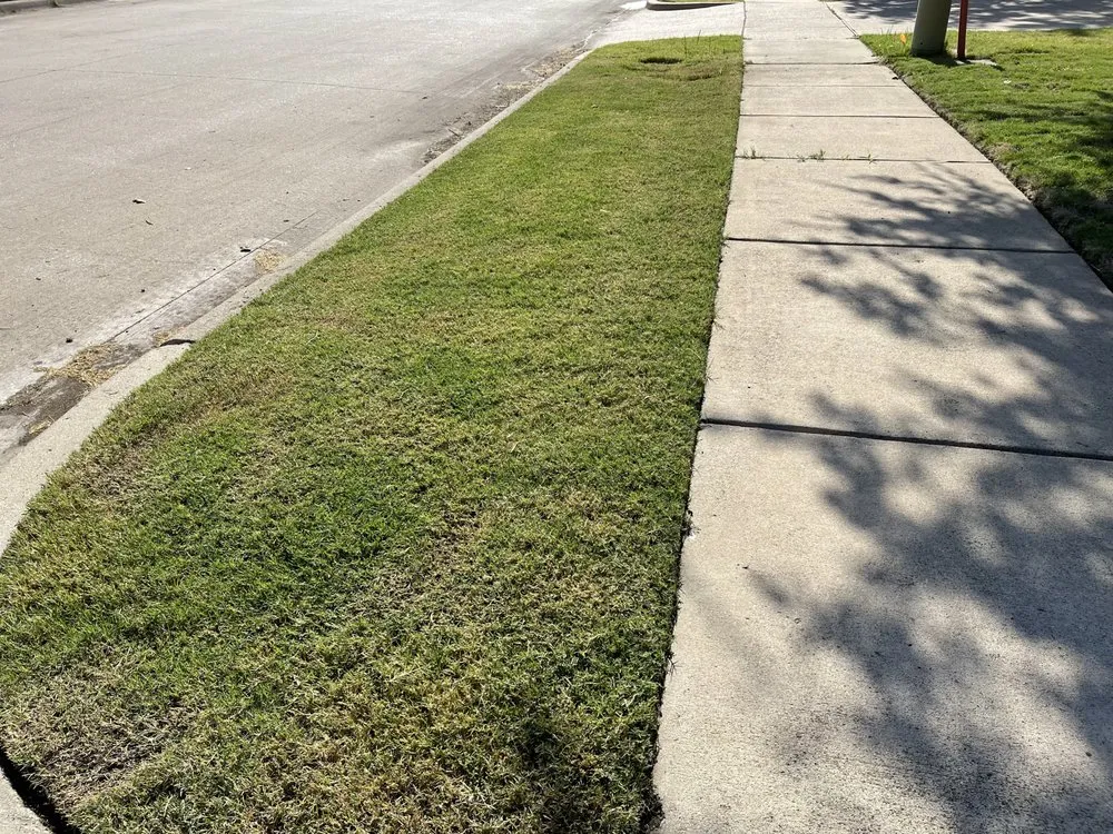 Local outdoor landscaping for year-round maintenance across Royse City, TX - Outdoor Services