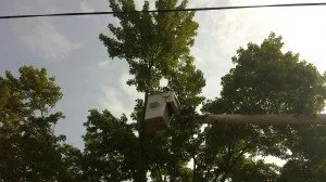 Professional lawn care service in Piscataway, NJ - Outdoor Services Tree Service