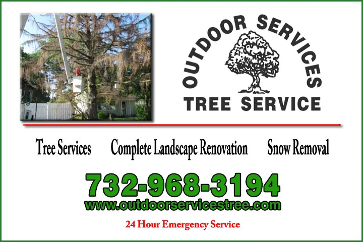 Custom outdoor landscaping in Piscataway, NJ - Outdoor Services Tree Service