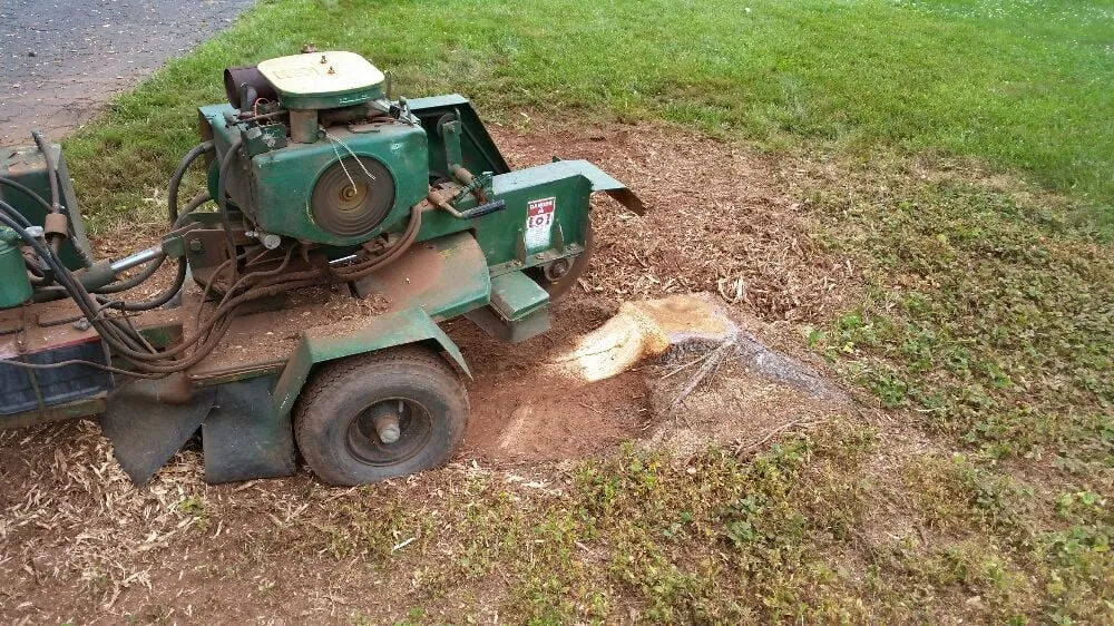 Trusted outdoor landscaping near you across Piscataway, NJ - Outdoor Services Tree Service