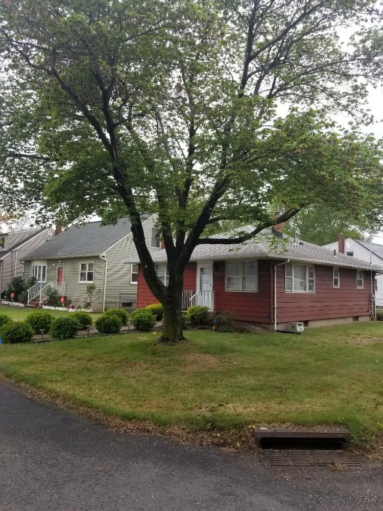 Reliable landscaping services for homes in Piscataway, NJ by Outdoor Services Tree Service