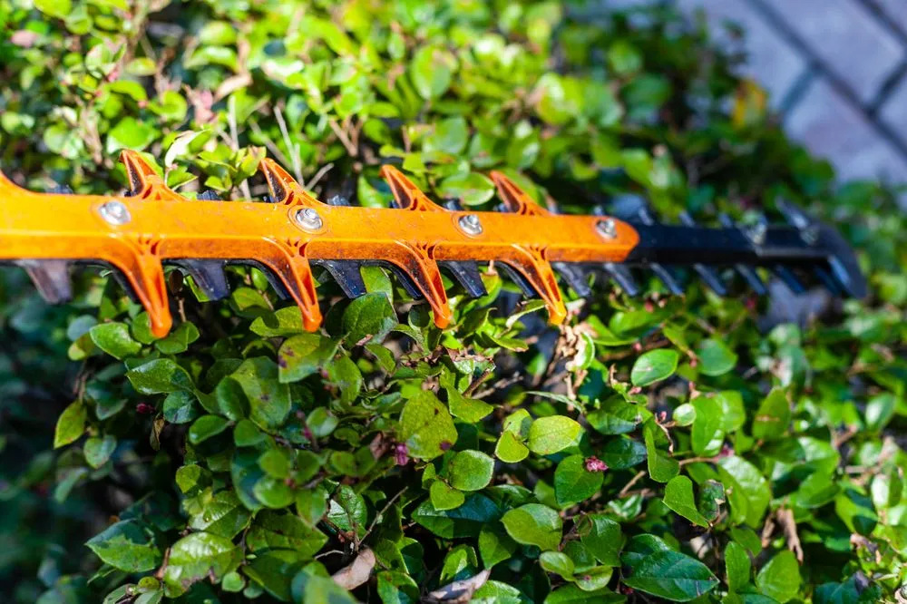 Top-rated landscape installation in Crestview, FL - Outdoor Solutions 850